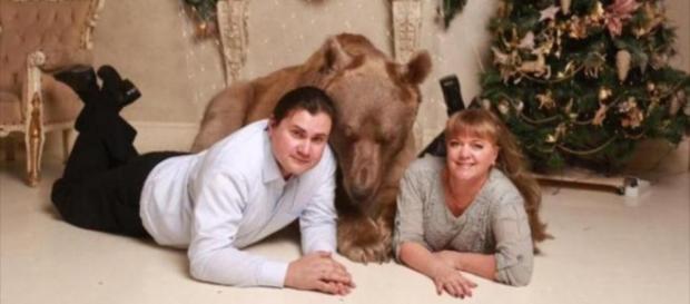 Svetlana y Yuriy Panteleenko posan para la foto junto al oso Stepan Svetlana y Yuriy Panteleenko posan para la foto junto al oso Stepan