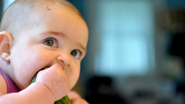 Dieta vegana non &egrave; adatta ai bimbi: monito dei pediatri italiani