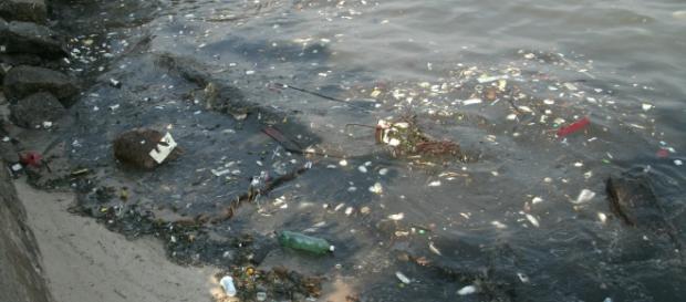 Despoluição da Baía de Guanabara está londe de acontecer Despoluição da Baía de Guanabara está londe de acontecer