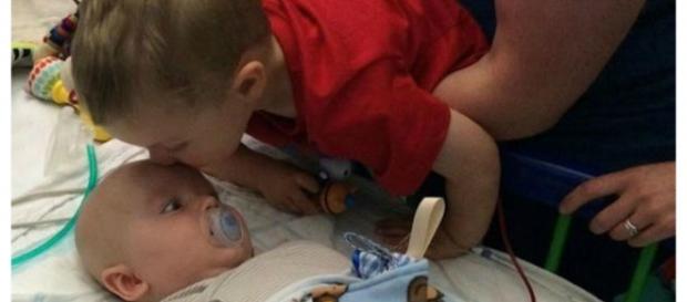 Graças a Ethan, Jacob está se recuperando Graças a Ethan, Jacob está se recuperando