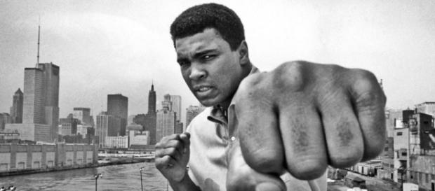 Muhammad Ali é considerado o maior lutador de boxe de todos os tempos. Muhammad Ali é considerado o maior lutador de boxe de todos os tempos.