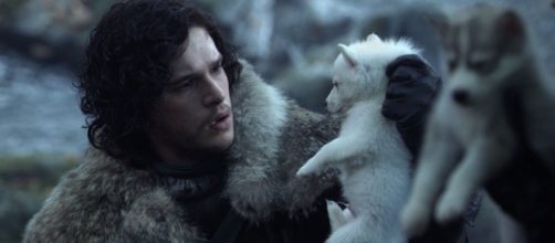 Os lobos da família Stark de GOT