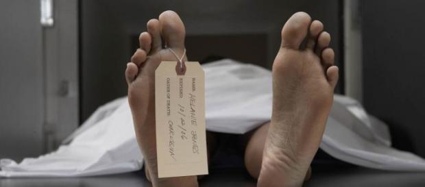 Una compañía de biotecnología está realizando investigaciones para revivir a personas con muerte cerebral. Una compañía de biotecnología está realizando investigaciones para revivir a personas con muerte cerebral.