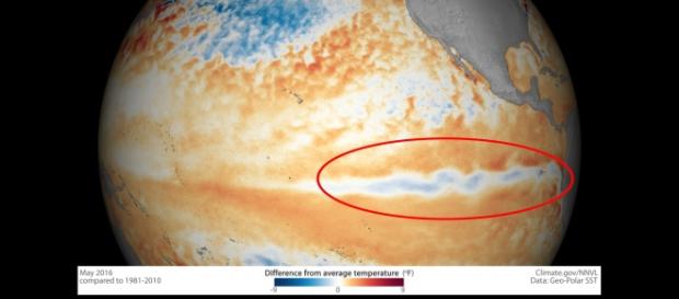 Área em destaque indica resfriamento das águas. Crédito: NOAA Área em destaque indica resfriamento das águas. Crédito: NOAA