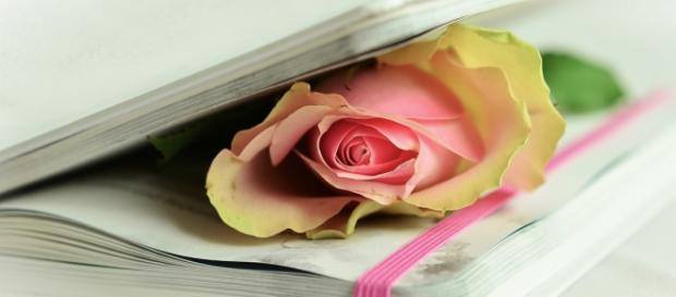Concursos literários abertos para escritores que escrevem poesia e trova Concursos literários abertos para escritores que escrevem poesia e trova