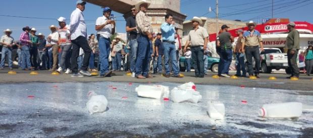 Lecheros de Jalisco protestan tirando leche de empresas acusadas de traer sus insumos del extranjero. Lecheros de Jalisco protestan tirando leche de empresas acusadas de traer sus insumos del extranjero.