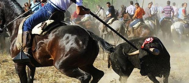 Toro de la Vega, Tordesillas (Valladolid) Toro de la Vega, Tordesillas (Valladolid)