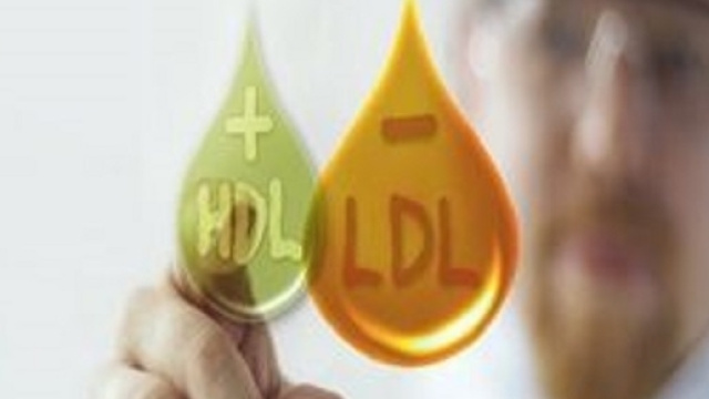 Una regolare attivit&agrave; fisica riduce il colesterolo "cattivo" (LDL) ed aumenta quello "buono" (HDL). Anche negli animali.