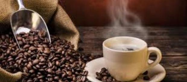 Cientistas aconselham misturar leite frio ao café para evitar a doença Cientistas aconselham misturar leite frio ao café para evitar a doença