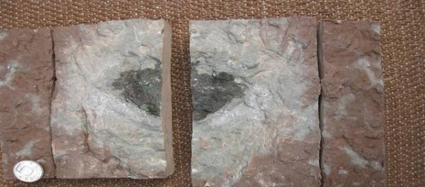 Composição química da rocha é diferente de todos os astros já detectados Composição química da rocha é diferente de todos os astros já detectados