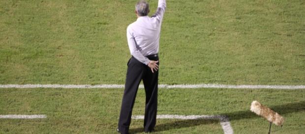 Tite novo técnico da Seleção Brasileira Tite novo técnico da Seleção Brasileira