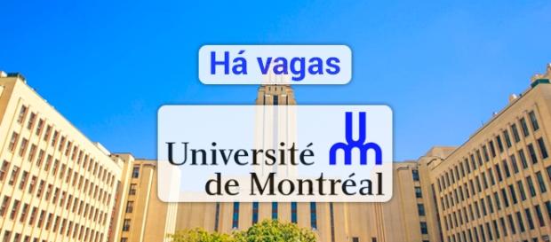 Universidade de Montreal está contratando - Foto: Reprodução Amrm-montreal Universidade de Montreal está contratando - Foto: Reprodução Amrm-montreal