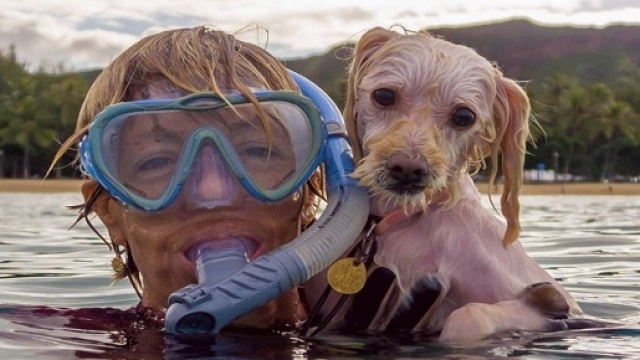 Coc&ograve;: la cagnolina sirena che ama nuotare