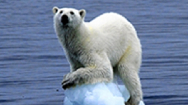 Le conseguenze dei cambiamenti climatici