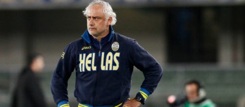 L'ex tecnico dell'Hellas Verona, Andrea Mandorlini.