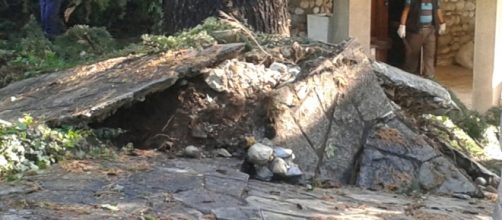 Lo sradicamento di un albero in via XXV Aprile al civico 37 di Barlassina