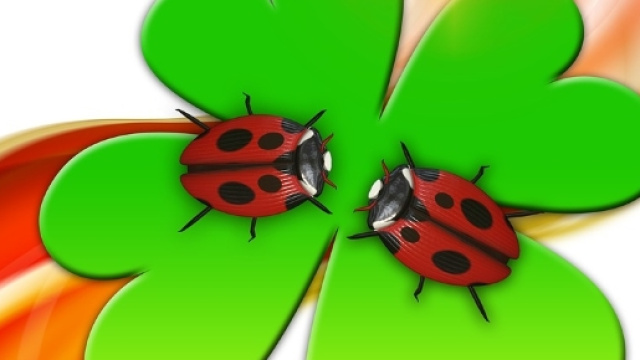 Venerd&igrave; 17: semplici consigli per i pi&ugrave; superstiziosi