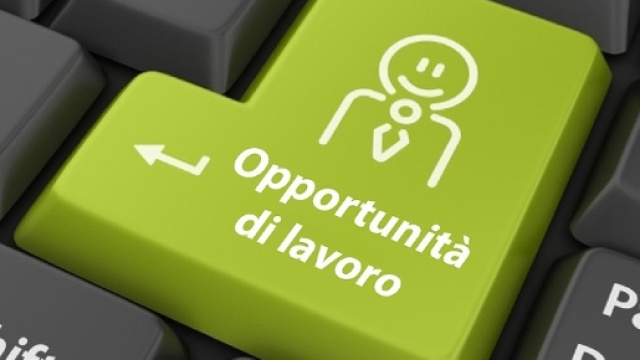 Selezioni Docente Scuola Primaria, Docenti Lingue Straniere: Anno Scolastico 2016/2017