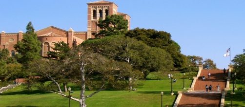 Università della California, Los Angeles