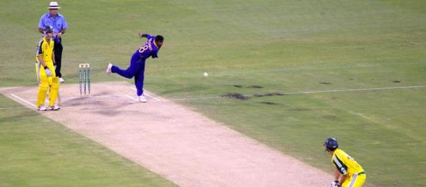 Cricket in action (courtesy of Wikipedia) Cricket in action (courtesy of Wikipedia)