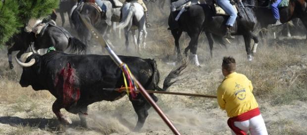 En España, esto es tradición y cultura En España, esto es tradición y cultura