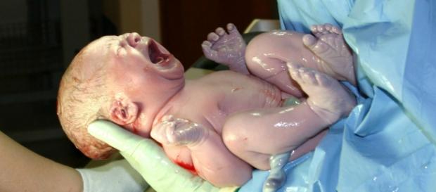 Nessun risarcimento alla mamma a cui è stata rifiutata la pillola del giorno dopo. Nessun risarcimento alla mamma a cui è stata rifiutata la pillola del giorno dopo.