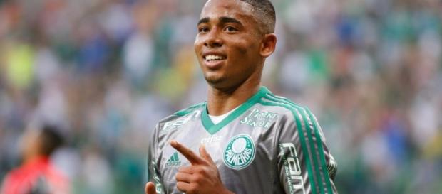 Gabriel Jesus é lucro garantido para o Palmeiras Gabriel Jesus é lucro garantido para o Palmeiras