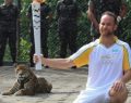 Brasil: matan a un jaguar que posó junto a la antorcha olímpica