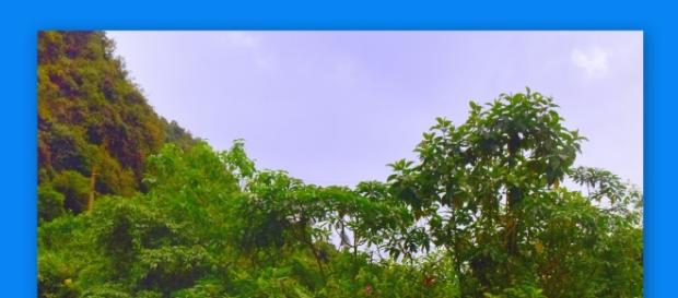 Hermosos parajes y rincones en todo el territorio ecuatoriano. Hermosos parajes y rincones en todo el territorio ecuatoriano.