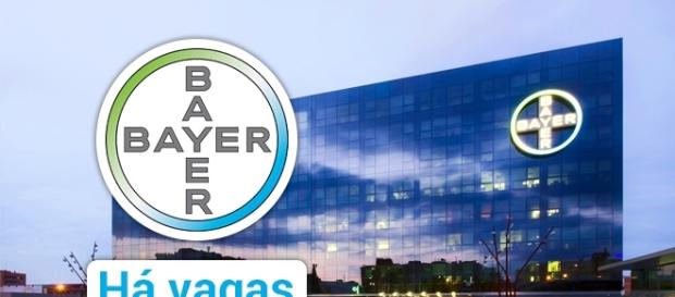 Vagas na Bayer. Foto: Reprodução Folhavitoria. Vagas na Bayer. Foto: Reprodução Folhavitoria.