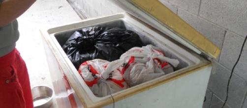 Modena, donna uccisa e nascosta nel frigorifero
