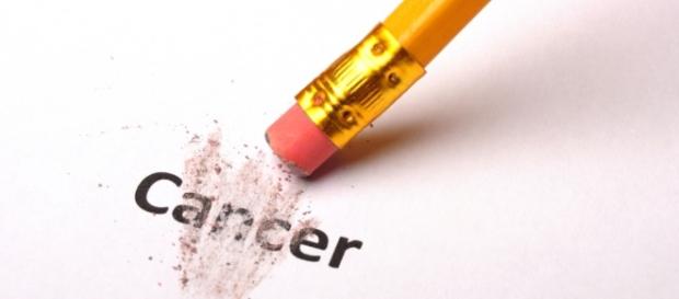 The New Mind Journal | Espanol - newmindjournal.com The New Mind Journal | Espanol - newmindjournal.com