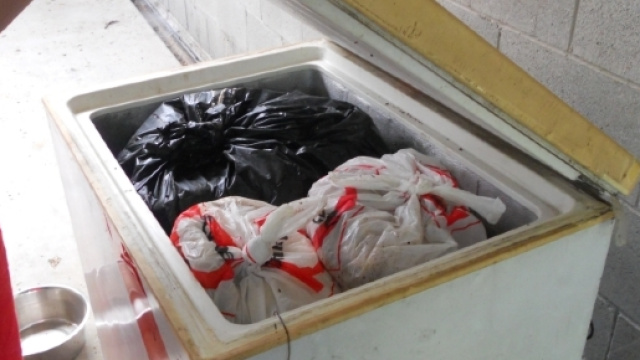 Modena, donna uccisa e nascosta nel frigorifero