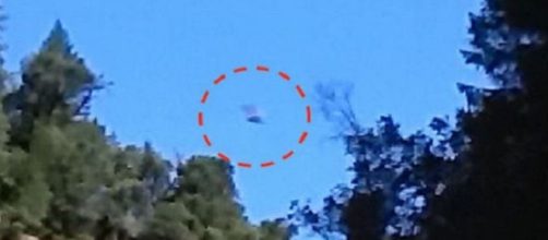 un UFO crash catturato sulla macchina fotografica?