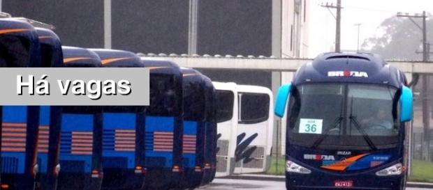 Empresa de transportes abre vagas em SBC Empresa de transportes abre vagas em SBC