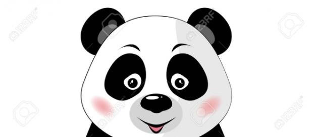 Dessin d'un tout jeune panda déjà gourmand! Dessin d'un tout jeune panda déjà gourmand!