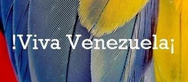 Esta é a imagem de perfil do Facebook de Elio Pestana Esta é a imagem de perfil do Facebook de Elio Pestana