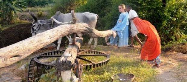 Morte de trouille, mais relevant le défi de conduire un char à âne au Rajasthan Morte de trouille, mais relevant le défi de conduire un char à âne au Rajasthan