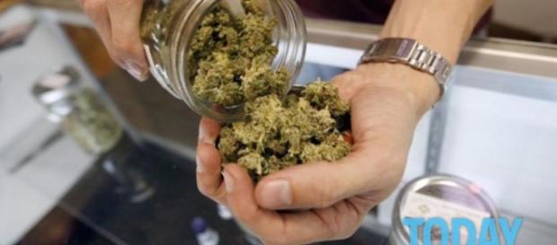 Il 25 Luglio la Camera discuterà la proposta di legge per la legalizzazione della cannabis in Italia Il 25 Luglio la Camera discuterà la proposta di legge per la legalizzazione della cannabis in Italia