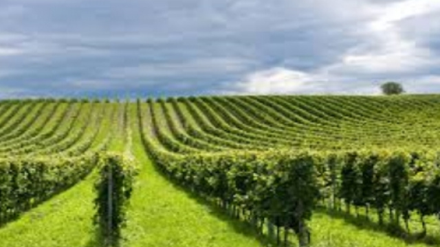 IMU agricola, le esenzioni ed i casi particolari per il 2016