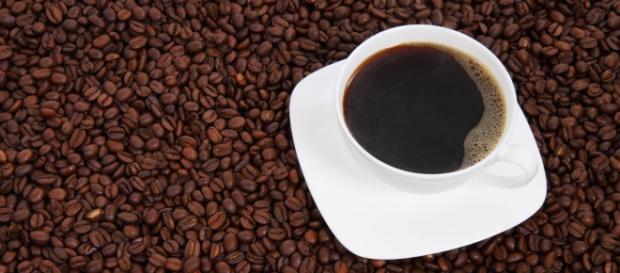 Empresa da Itália oferece bolsa para formação de Mestrado Internacional em Economia e Ciência do Café Empresa da Itália oferece bolsa para formação de Mestrado Internacional em Economia e Ciência do Café