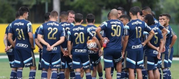 Palmeiras vive bom momento no Brasileirão Palmeiras vive bom momento no Brasileirão