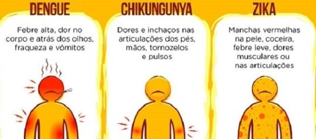 Zika, dengue e chikungunya e suas diferenças Zika, dengue e chikungunya e suas diferenças