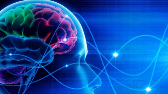 Perdita di memoria: gli alimenti che aiutano il cervello