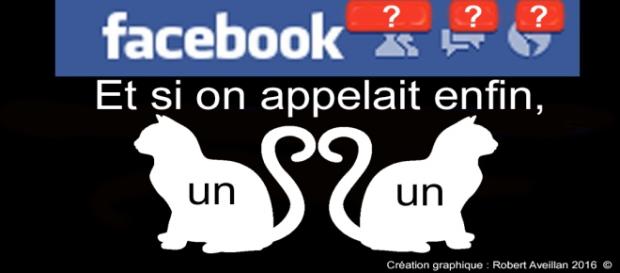 Et si on appelait enfin, un chat, un chat ! Et si on appelait enfin, un chat, un chat !