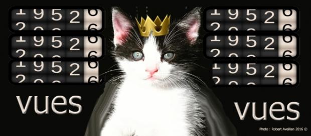 Des millions de vues, "ce n'est pas du pipi de chat", tout de même ! Des millions de vues, "ce n'est pas du pipi de chat", tout de même !