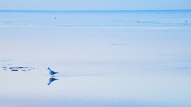 Aggiornamenti meteo estate 2016 al 09 giugno