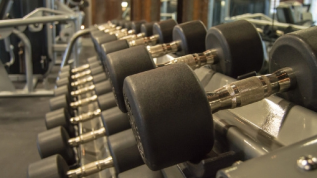 Technogym, azienda produttrice di attrezzi per lo sport