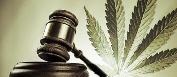 E você, acha que a legalização da maconha acabaria com o tráfico de drogas, reduzindo assim a violência nos grandes centros ? E você, acha que a legalização da maconha acabaria com o tráfico de drogas, reduzindo assim a violência nos grandes centros ?