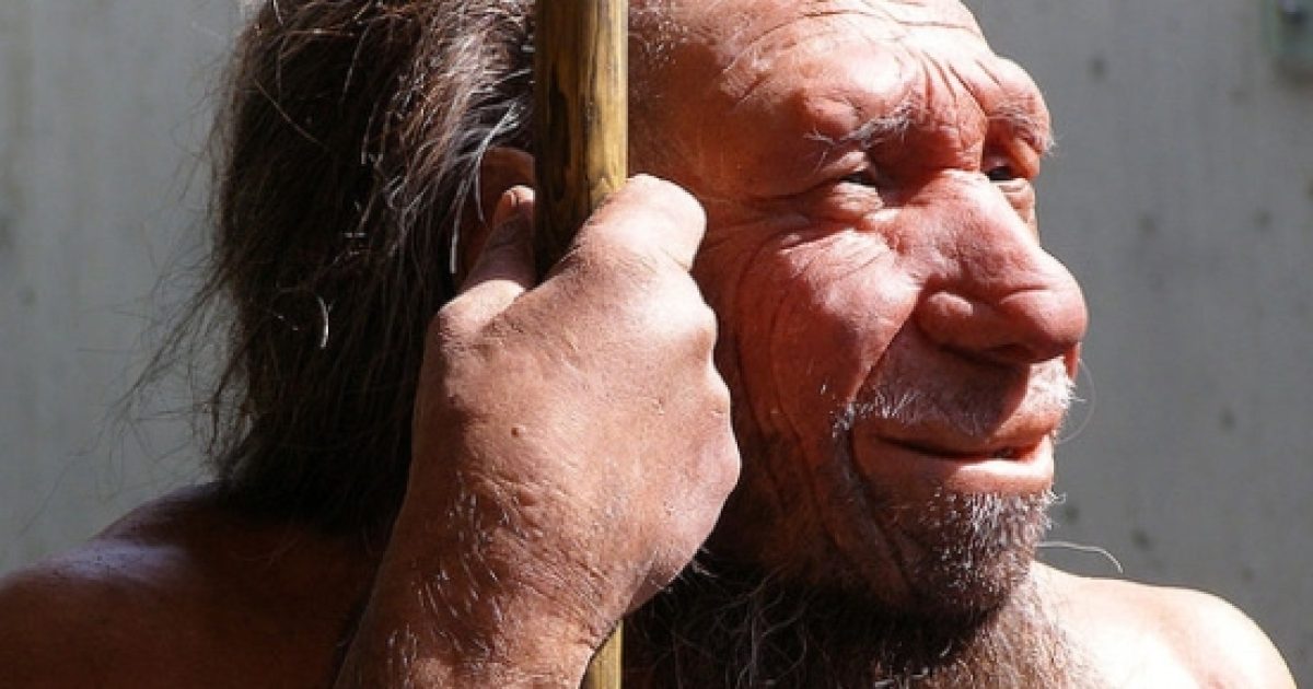 Neanderthal cannibalism discovered in Belgium